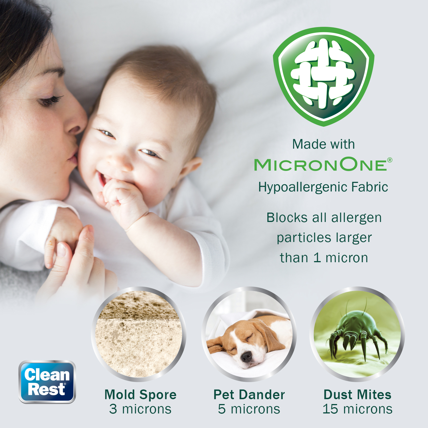 Allergy New! Details about   Clean Rest Premium Water-Resistant Bed Bug Blocking Pillow King 