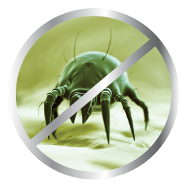 CleanRest eliminates dust mites