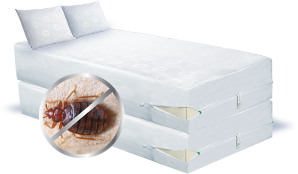 CleanRest Mattress Protection Bundles